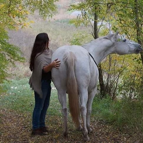 Karolina Mori mit grauem Pferd im Wald, Trainerin für typgerechtes Training