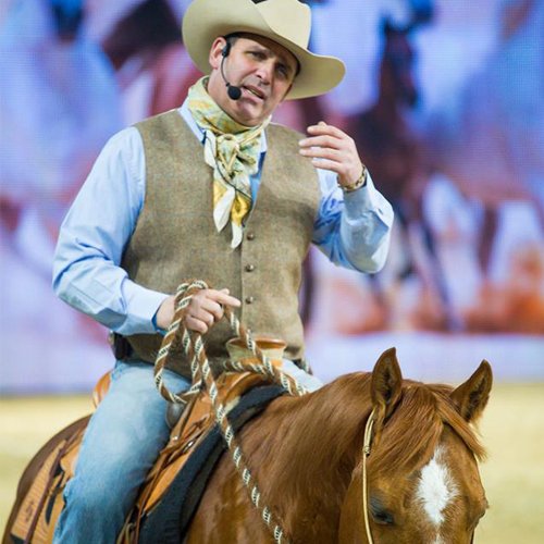 Tom Büchel auf braunem Pferd im Westernstil, Trainer für Gymnastizierung