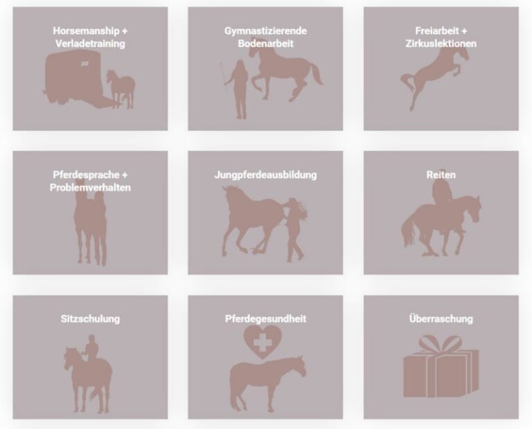 Calm Horse Mitgliedschaft: Premium – Lehrvideos zum Pferdetraining