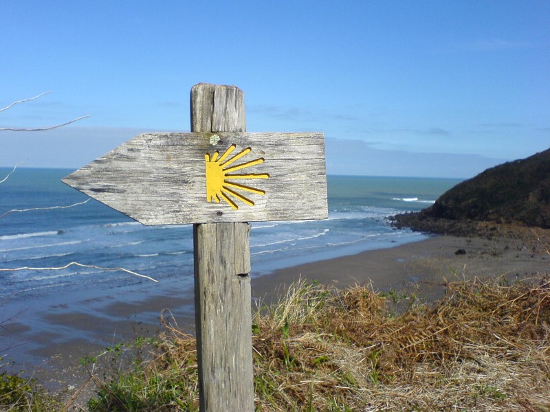 Holzwegweiser mit gelbem Jakobsmuschel-Symbol an Küste mit Strand und Meer
