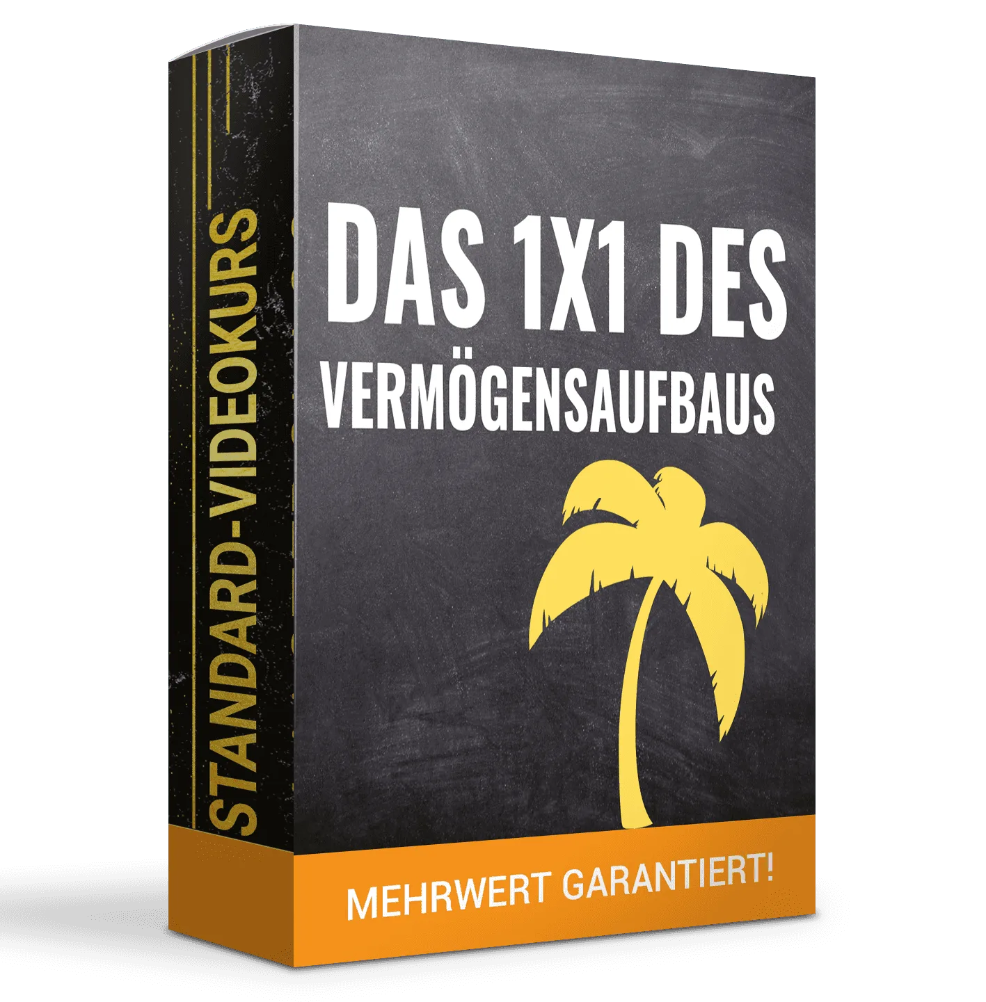 Das 1×1 des Vermögensaufbaus – Videokurs zum Vermögensaufbau 1 Videokurs-Box Das 1×1 des Vermögensaufbaus mit Palmen-Symbol und Mehrwert-Garantie