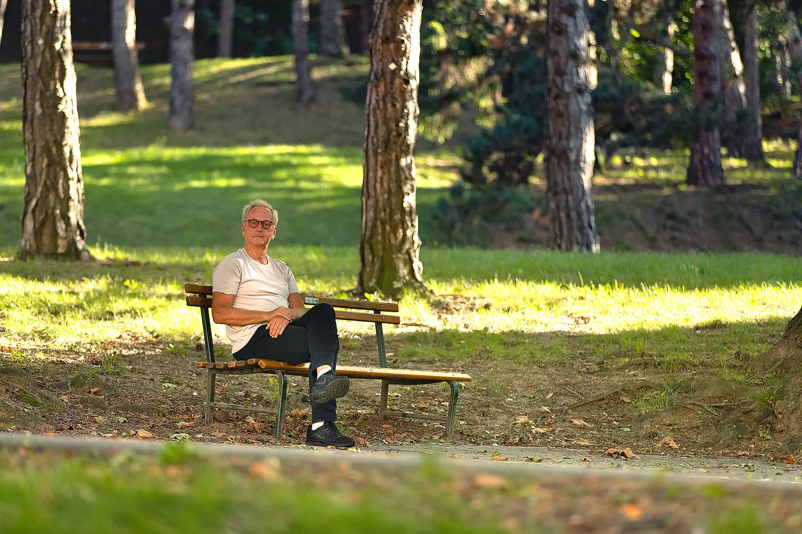 Helmuth Matzner sitzt auf einer Bank in einem Park mit Birken und grüner Wiese im Hintergrund