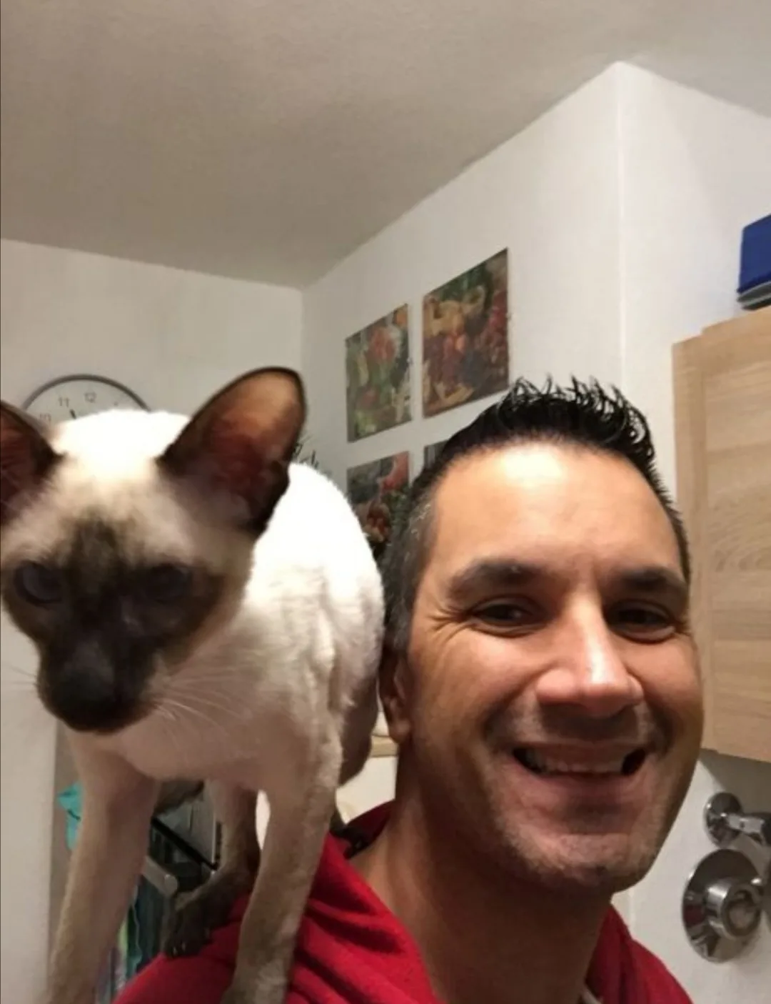 Das alte Tier in der TCVM – Seminar zur Veterinärakupunktur 6 Mann mit weißer Katze auf der Schulter in Wohnzimmer