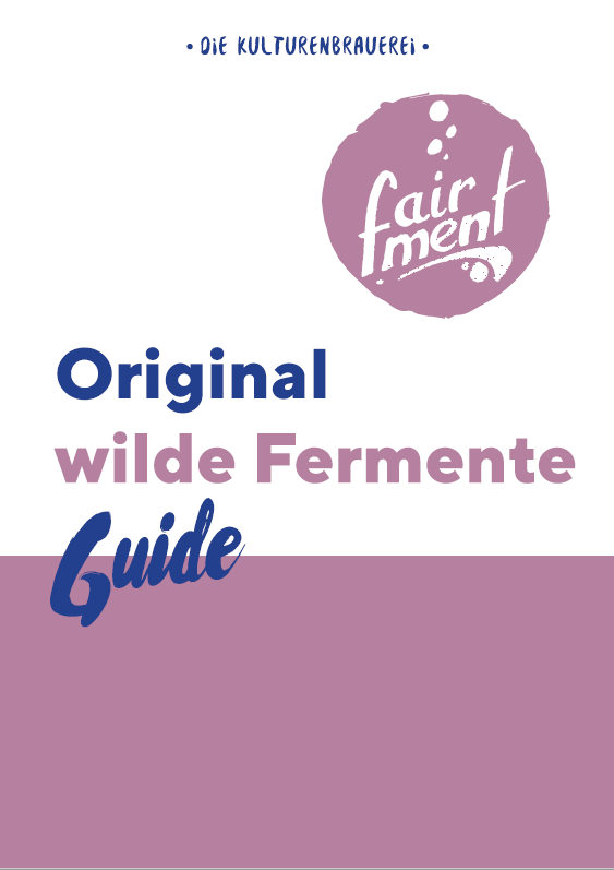 Das Autoimmunkongress Wissenspaket – Videokurs zu Autoimmunthemen 12 Cover des Original wilde Fermente Guides der Kulturenbrauerei fairment
