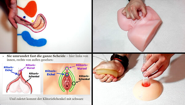 Anatomische Grafiken der weiblichen Scheide mit Modellen und Diagrammen