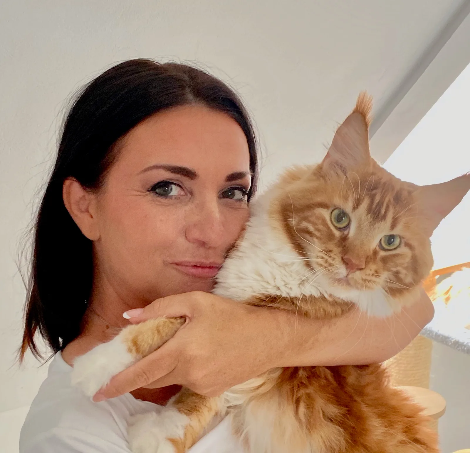 Porträt Petra Ott hält orange-weiße Katze vor weißem Hintergrund