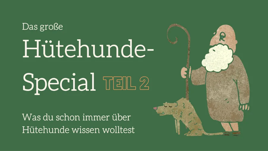 Hero-Banner zum Hütehunde-Special Teil 2 mit Schafhirte und Hund auf grünem Hintergrund