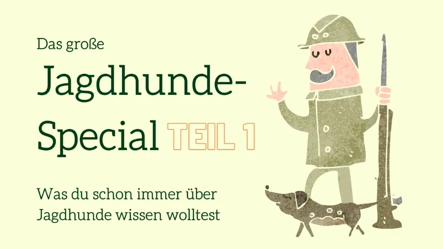 Hero-Banner zum Jagdhunde-Special Teil 1 mit Illustration eines Jägers und Jagdhund