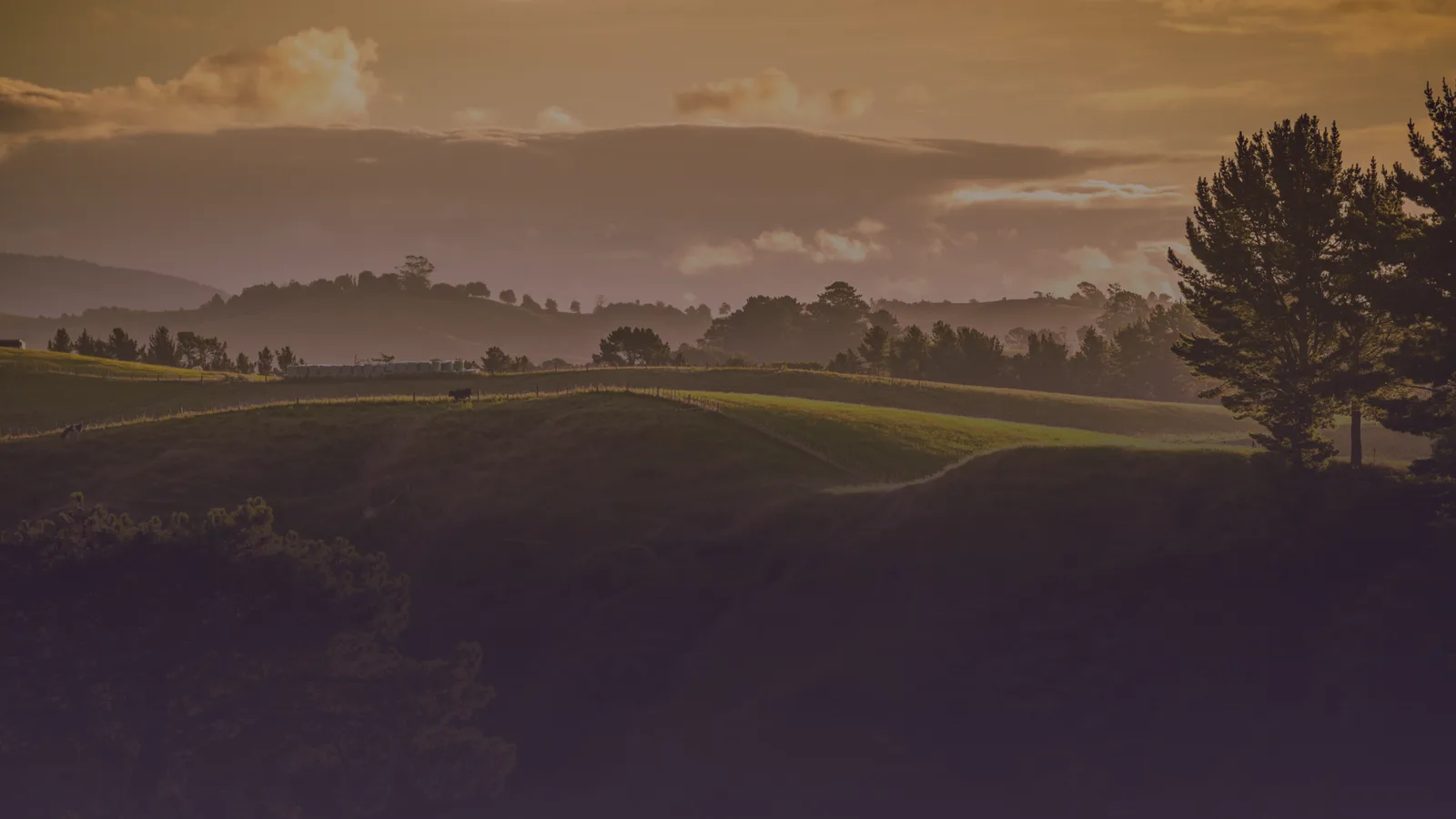 Goldene Landschaft mit Weinbergen, Bergen und Bäumen in warmen Tönen