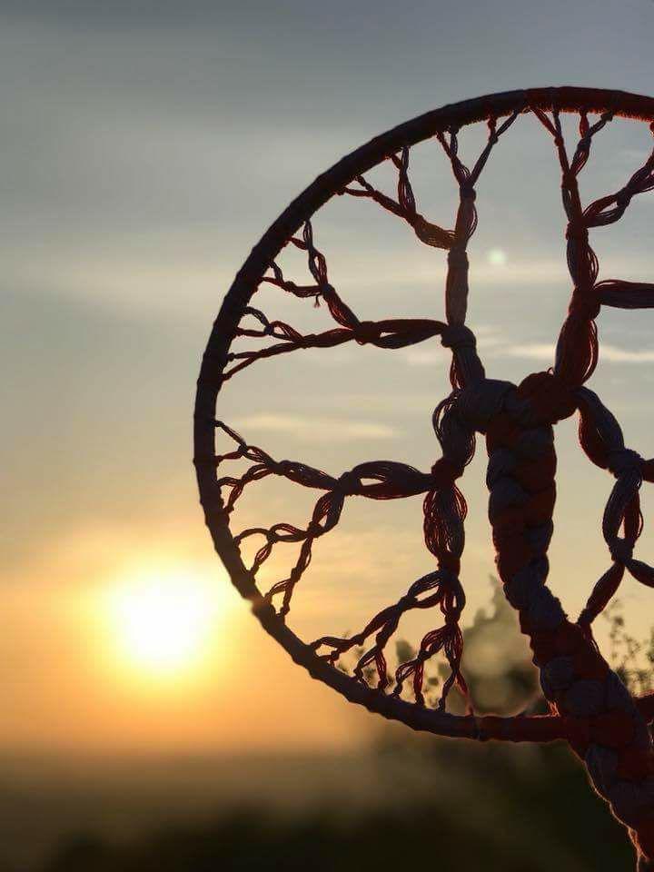Dein 1. Seelenbaum Rod mit Begleitung – Videokurs zur Ahnenarbeit 2 Seelenbaum-Kunstwerk in Silhouette gegen Sonnenaufgang mit verzweigtem Wurzelsystem