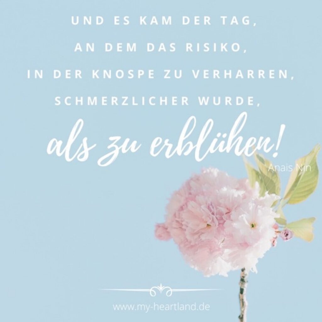 Dein Seelenweg – Videokurs zur Lebenssinnsuche