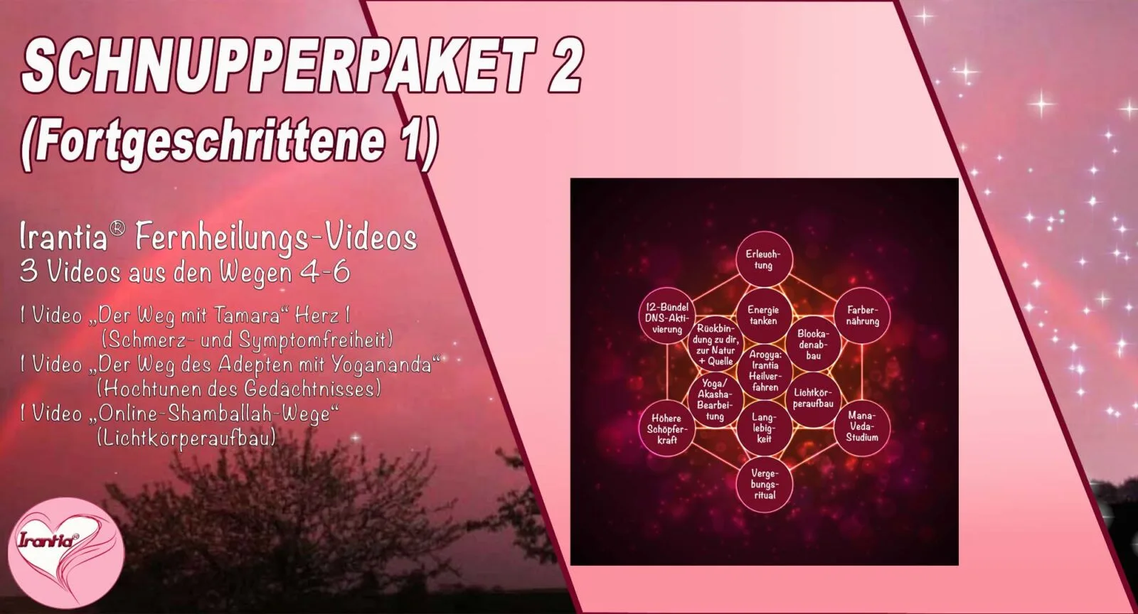 Dein Weg mit Kryon – Channeling-Videokurs von Mysterienschule Irantia 8 Thumbnail Schnupperpaket 2 mit Chakra-Diagramm und Videobeschreibung auf rosa Hintergrund
