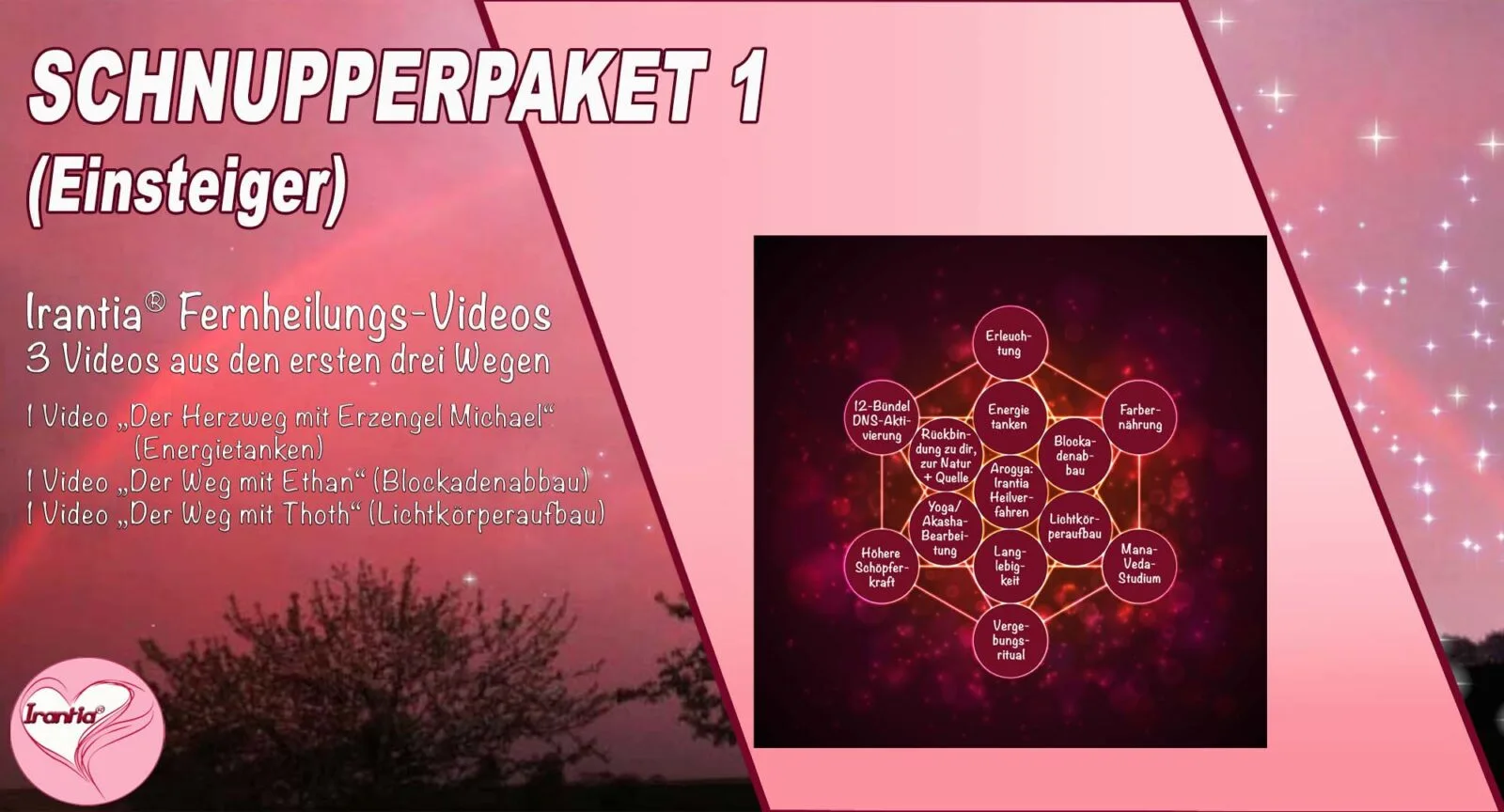 Dein Weg mit Kryon – Channeling-Videokurs von Mysterienschule Irantia 7 Thumbnail Schnupperpaket 1 mit Chakra-Netzwerk-Grafik und Videoinformation auf rosa Hintergrund