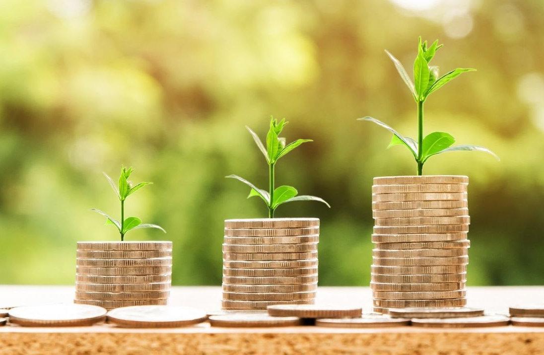Münzstapel mit grünen Pflanzen – Finanzwachstum und Erfolg symbolisiert