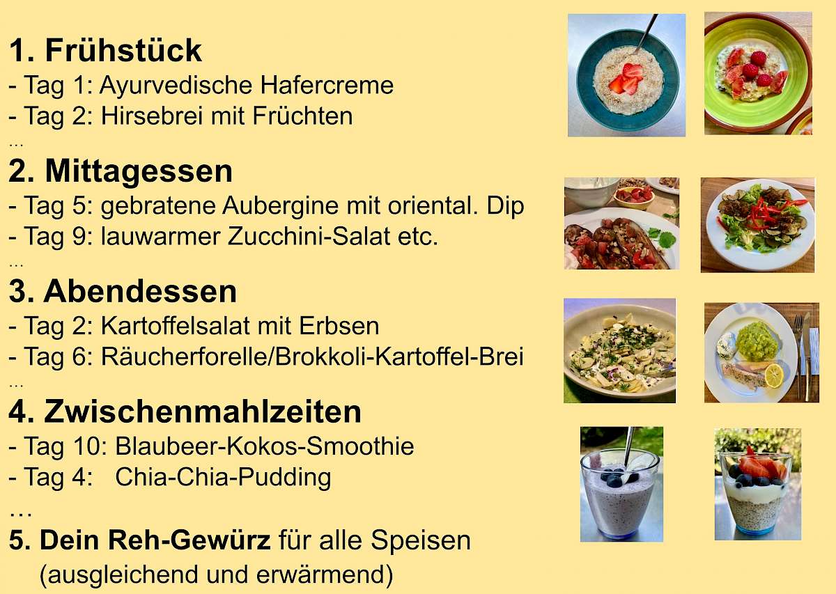 Speiseplan Reh-Typ für den 10-Tage-Intervallfasten-Kurs