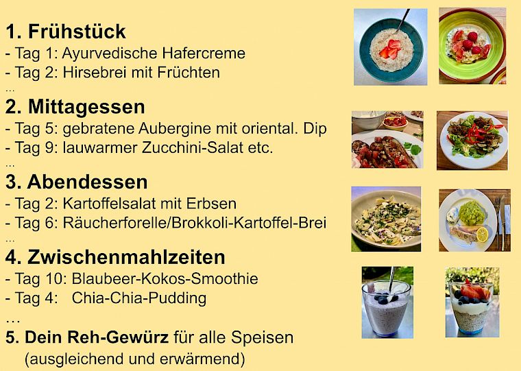 Speiseplan Reh-Typ für den 10-Tage-Intervallfasten-Kurs