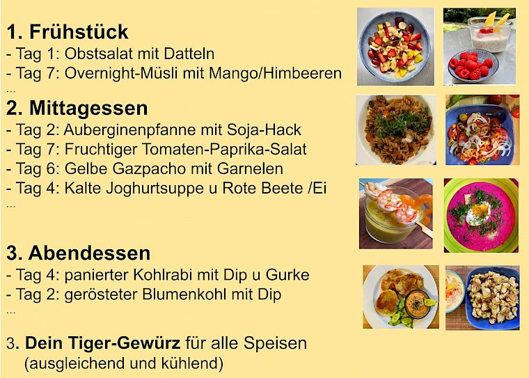 Speiseplan Tiger-Typ für den 10-Tage-Intervallfasten-Kurs
