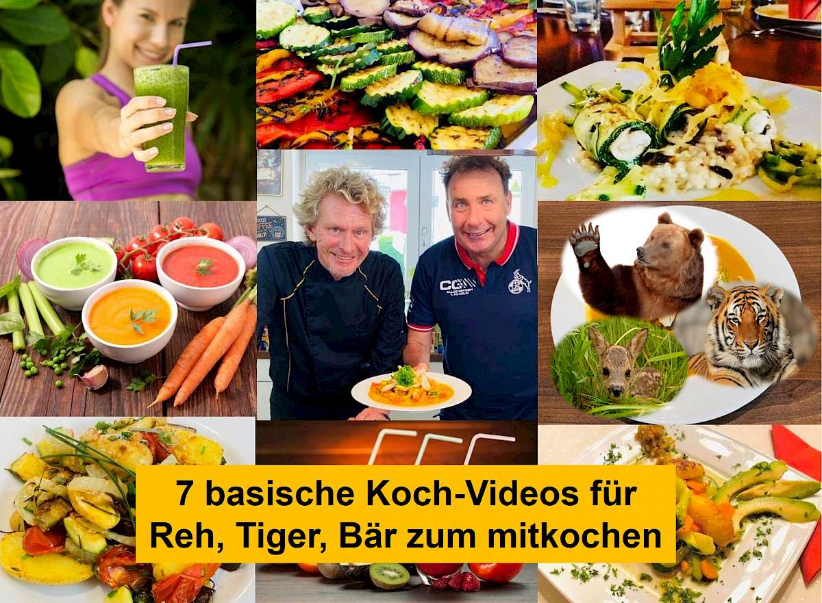 Kochvideos für den 10-Tage-Intervallfasten-Kurs von Ralf Moll