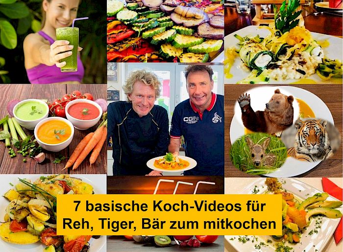 Kochvideos für den 10-Tage-Intervallfasten-Kurs von Ralf Moll