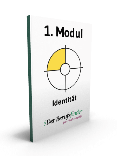 Buchcover Modul 1 Identität mit gelbem Kreisdiagramm-Segment