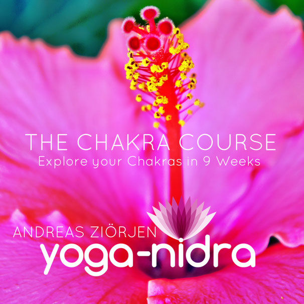 Der Chakra-Kurs – Audiokurs zur Chakrenarbeit von Andreas Ziörjen 9 The Chakra Course Galerie-Bild mit Hibiskusblüte und Kurs-Details