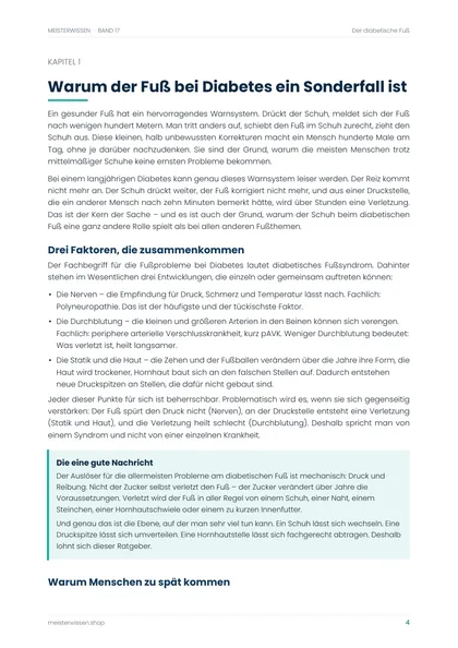 Seite 4 des Ratgebers mit Kapitel 1 zum Thema Fuß bei Diabetes als Sonderfall