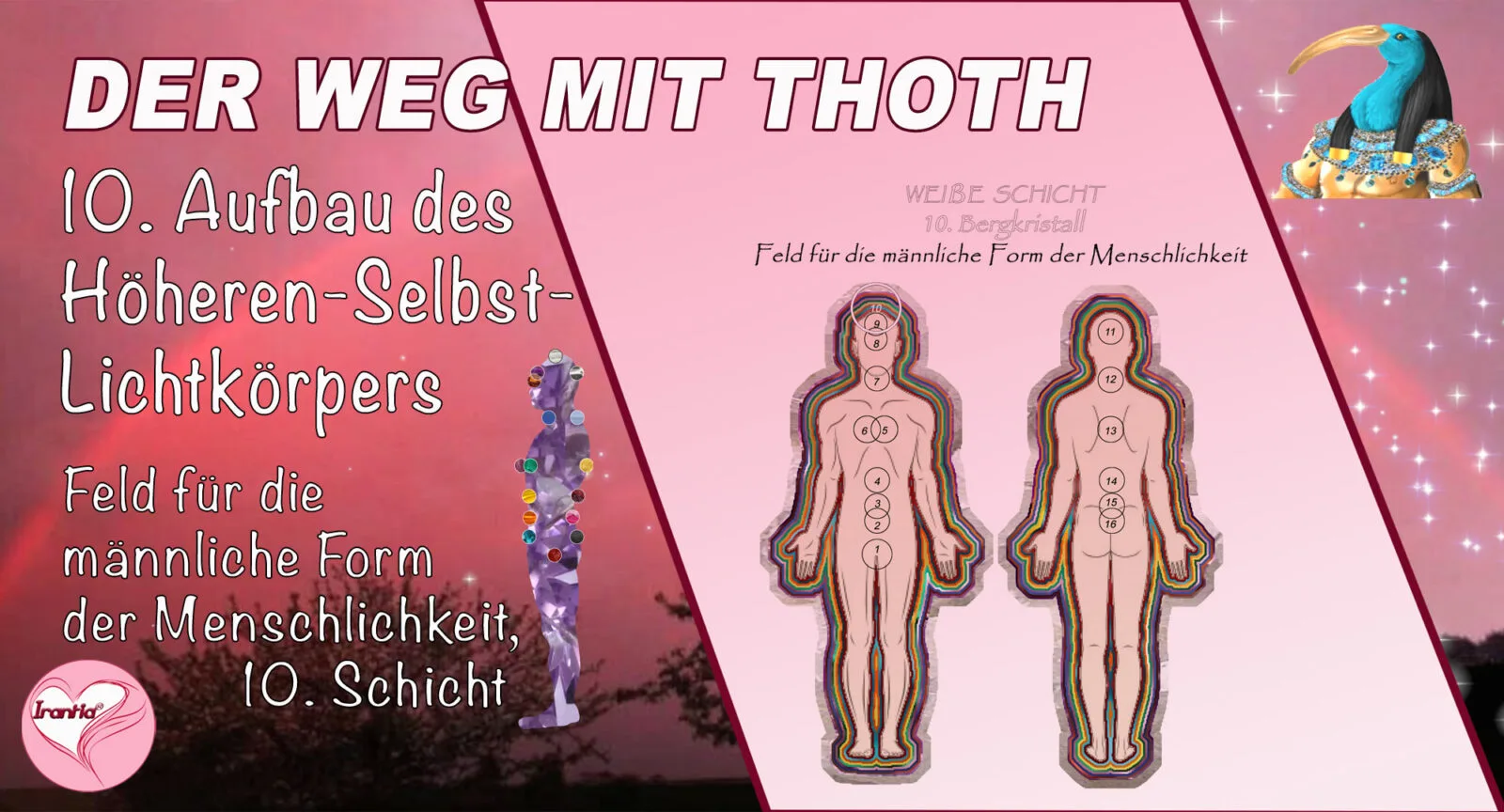 10. Lichtkörper-Aufbau, Höhere-Selbst-Lichtkörper, Feld für die männliche Form der Menschlichkeit, 10. Schicht