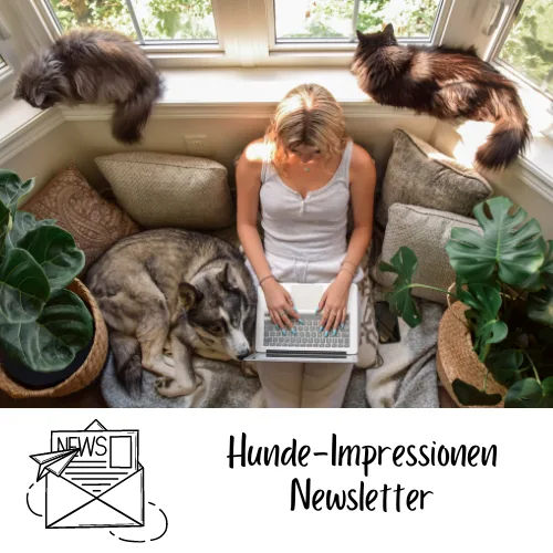Der perfekte Rückruf – Hundetraining-Workshop von Jennifer Lang 5 Frau sitzt mit mehreren Hunden am Fenster mit Laptop, Newsletter Hunde-Impressionen