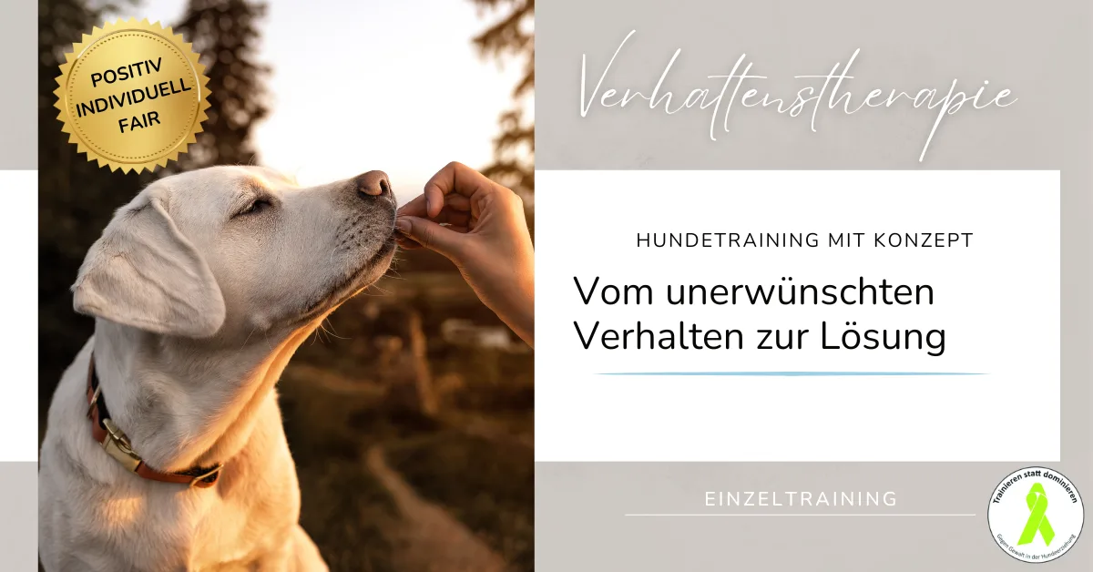 Der perfekte Rückruf – Hundetraining-Workshop von Jennifer Lang 7 Weißer Labrador-Retriever bei Sonnenuntergang mit Hundepfote, Siegel Positiv Individuell Fair