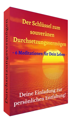 Durchsetzungsvermögen