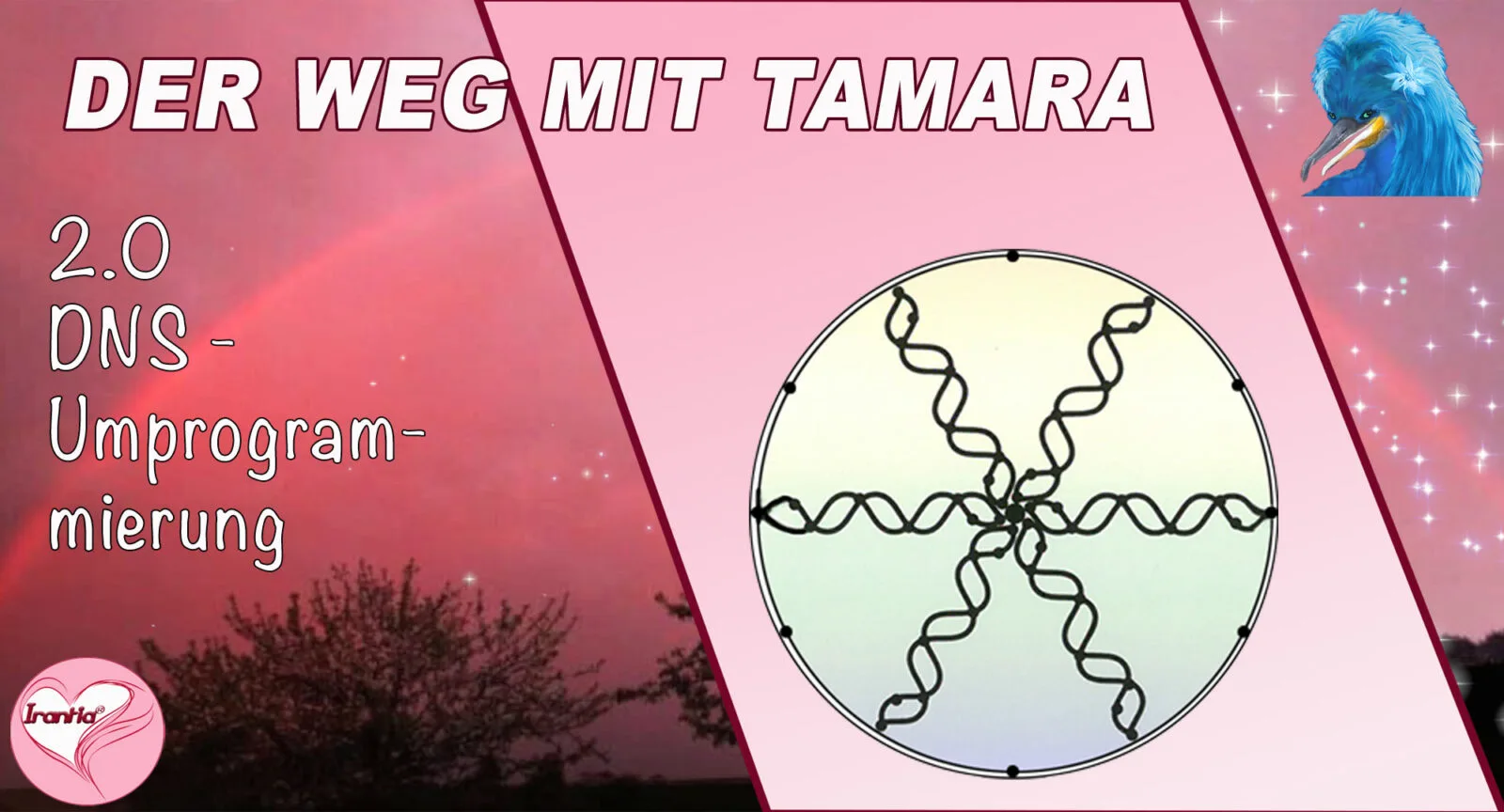 Thumbnail zu DNS-Umprogrammierung 2.0 mit Tamara, DNA-Doppelhelix-Struktur in Kreisform auf hellbeigem Hintergrund