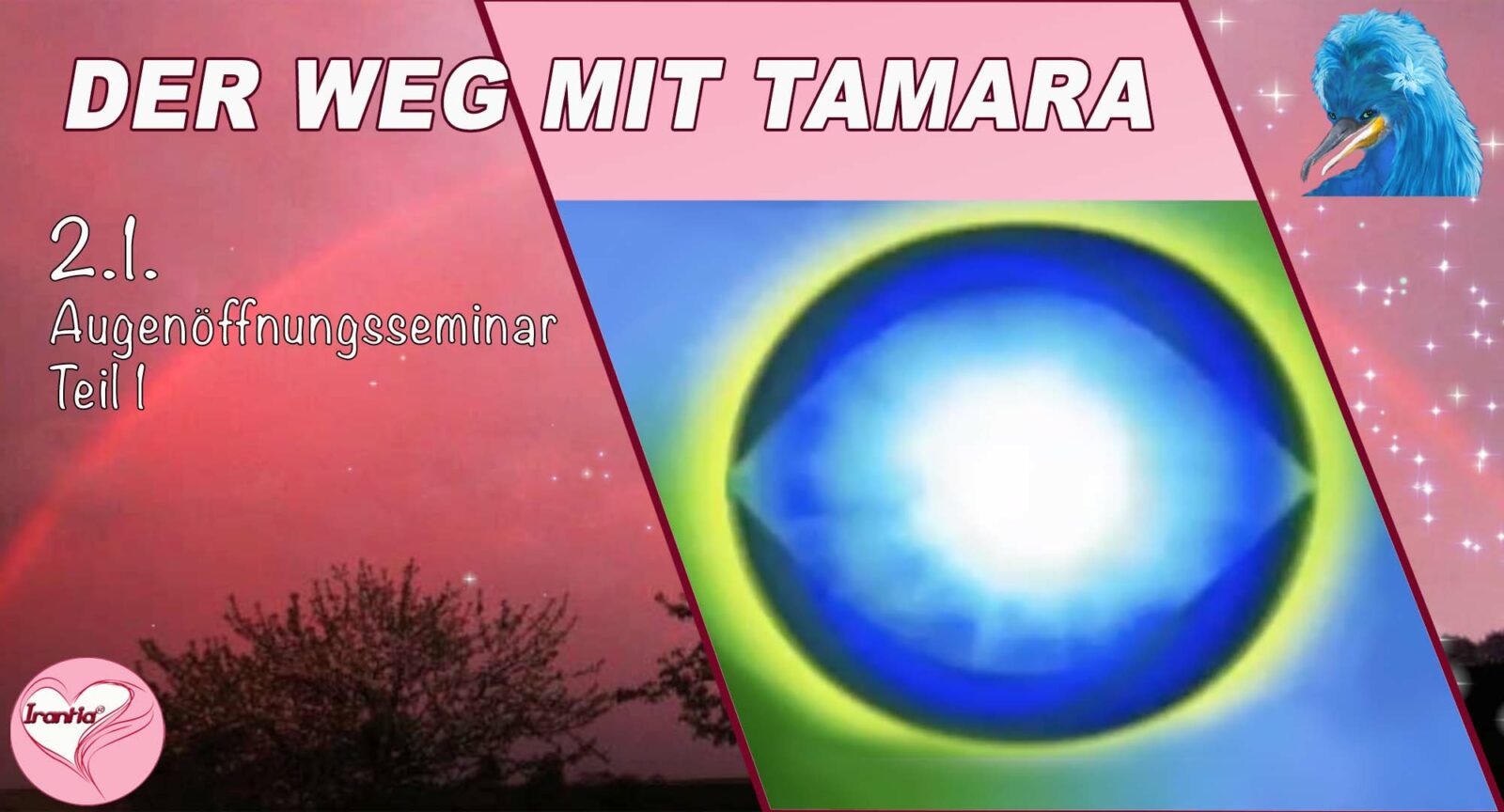Banner mit Auge-Symbol in Regenbogenfarben und blauem Vogel-Symbol