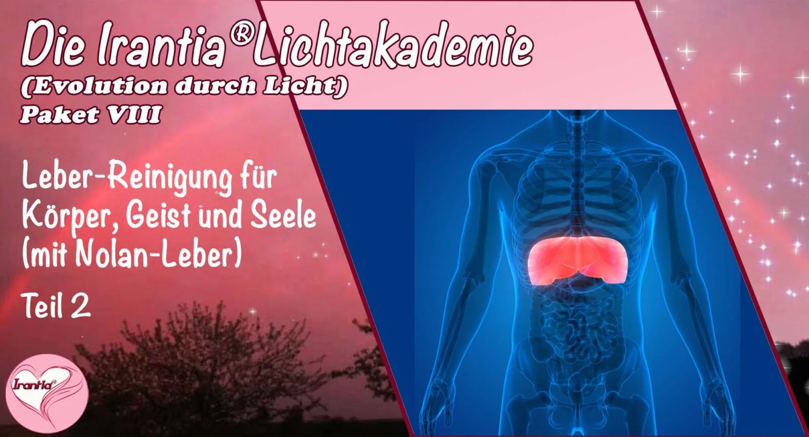 Banner mit Leber-Illustration und Text zu Irantia Lichtakademie Paket VIII