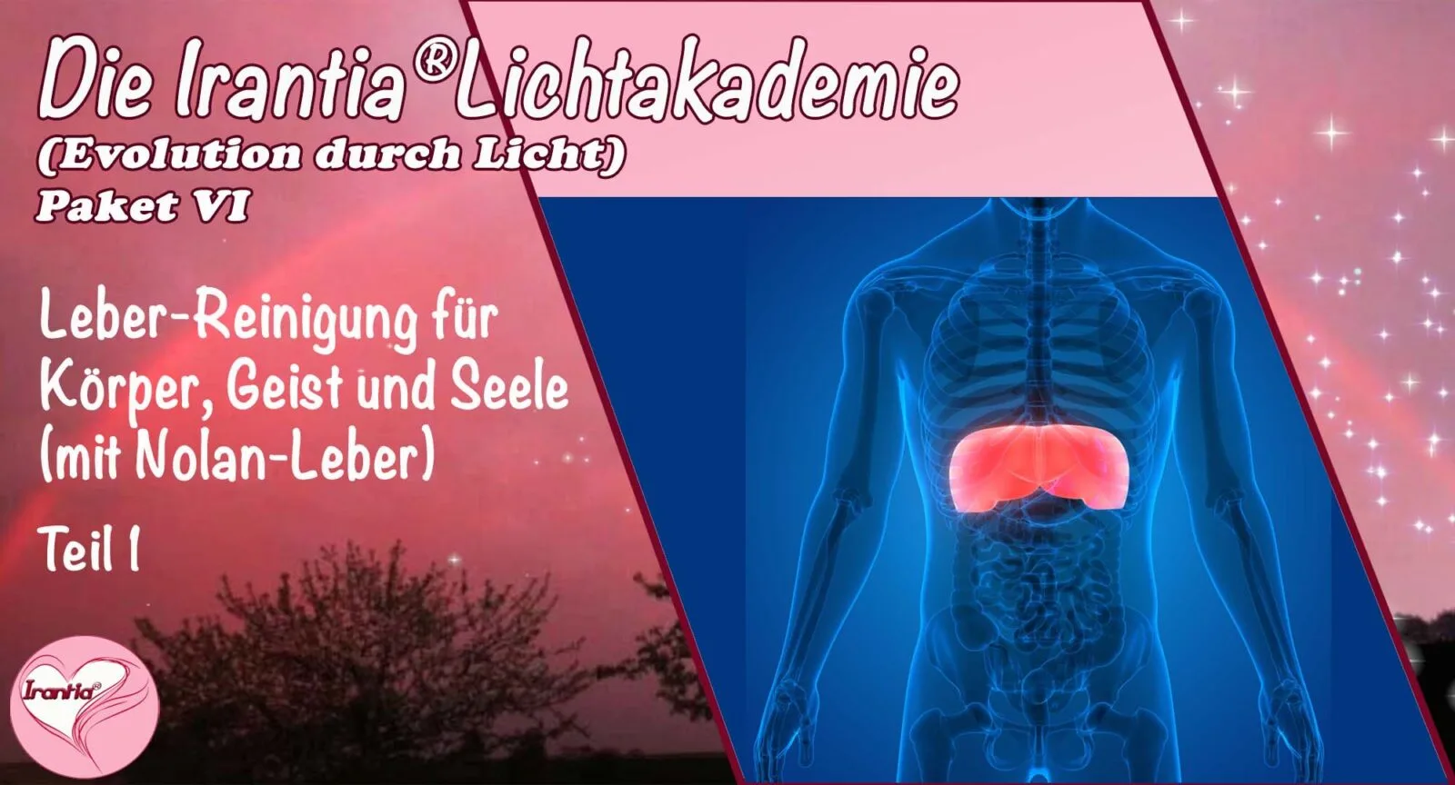Banner mit Leber-Illustration und Text zu Irantia Lichtakademie Paket VI