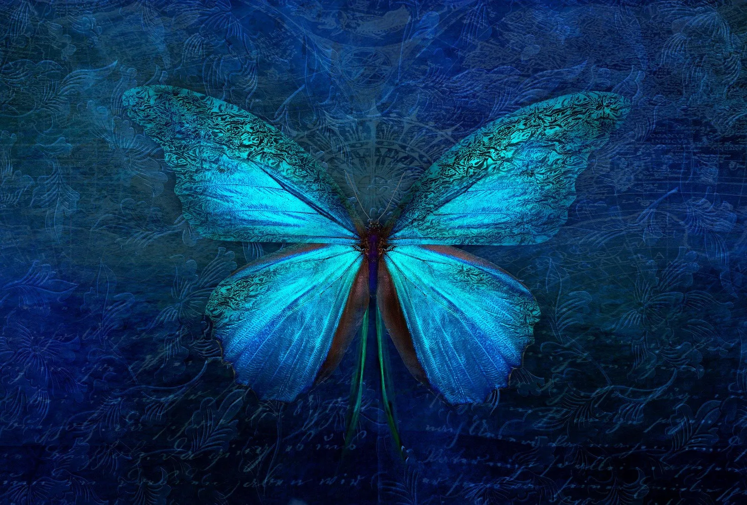 Leuchtend blauer Schmetterling auf dunkelblauem Ornament-Hintergrund
