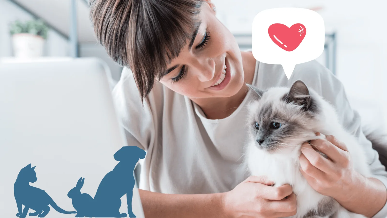 Frau hält Siamkatze-Katzenbaby, Herz-Symbol oben rechts, Tier-Silhouetten unten links