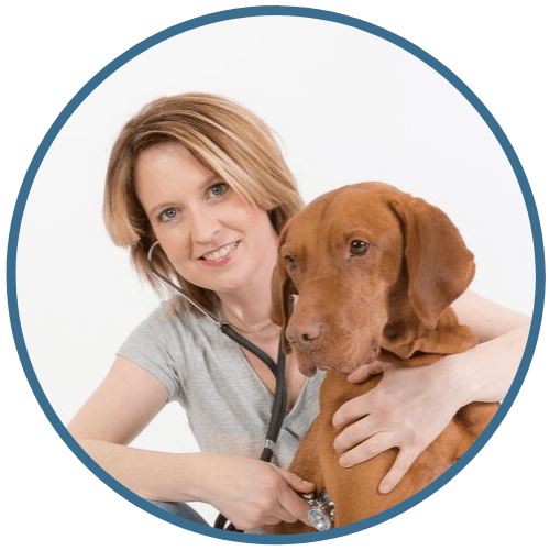 Sonja Tschöpe mit Stethoskop hält braunen Hund, runder Avatar auf weißem Hintergrund