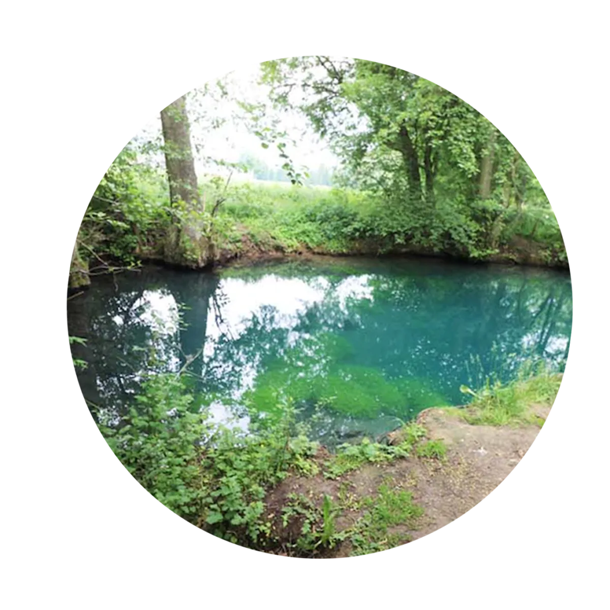 Naturaufnahme eines türkisfarbenen Sees mit Wald und Ufervegetation in kreisförmiger Rahmung