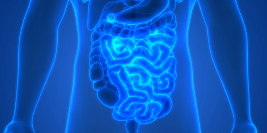 Anatomische Illustration des Darms in leuchtend blauer Farbe auf dunklem Hintergrund