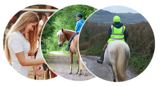 Ein gesundes Verlasspferd ist KEIN Zufall – Videokurse für Reiter 7 Drei kreisförmige Bilder zeigen Pferdetraining und Horsemanship: Frau mit Pferd, Reiter auf Waldweg, Reiterin auf weißem Pfer