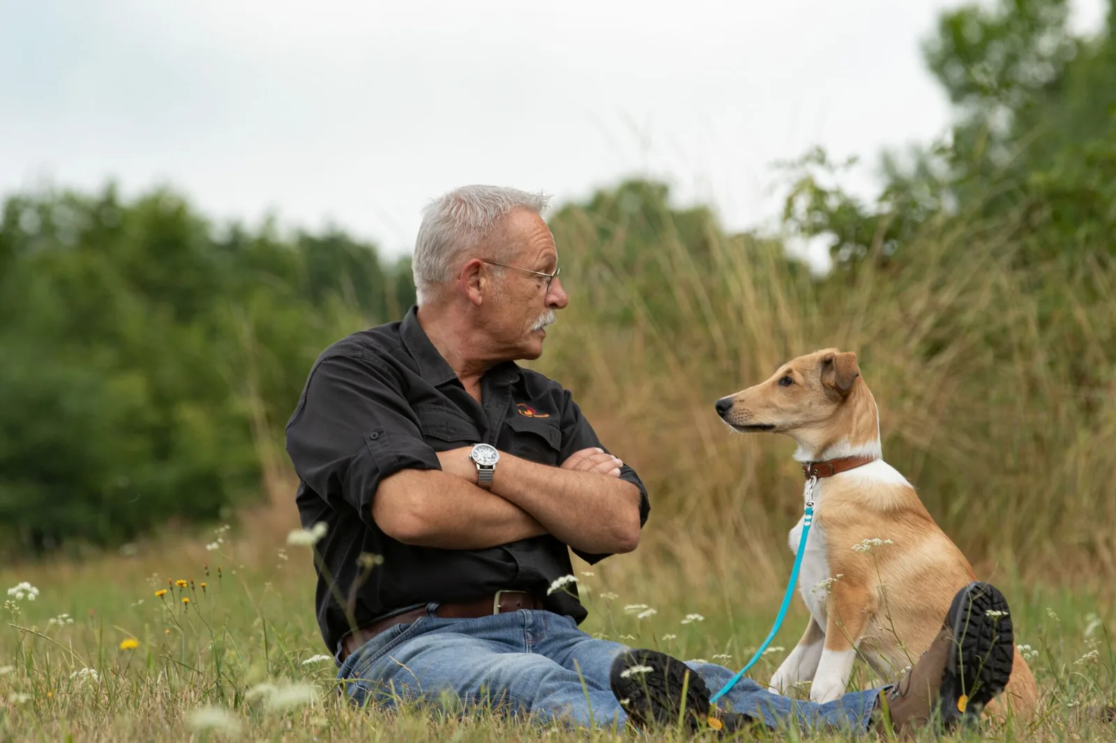 Ein guter Start für Welpen! Welpentests und Wurfbegleitung 3 Trainer sitzt neben braunem Hund in Wiese vor Heckenkulisse
