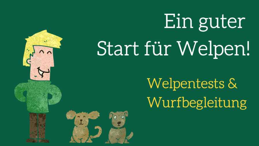 Ein guter Start für Welpen! Welpentests und Wurfbegleitung 1 Hero-Banner mit Illustration: Ein guter Start für Welpen! Welpentests & Wurfbegleitung