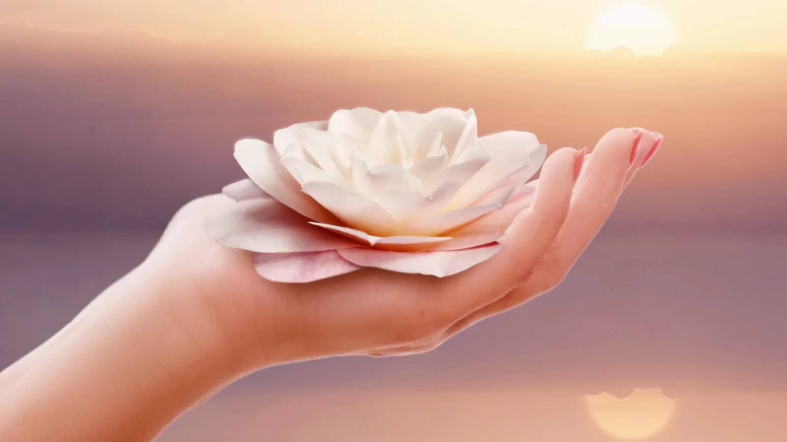 Endlich Migränefrei – Online-Coaching gegen Migräne von Anke Schneider 14 Sanfte Hand mit zartem Rosé hält cremefarbene Blüte vor verschwommenem Hintergrund