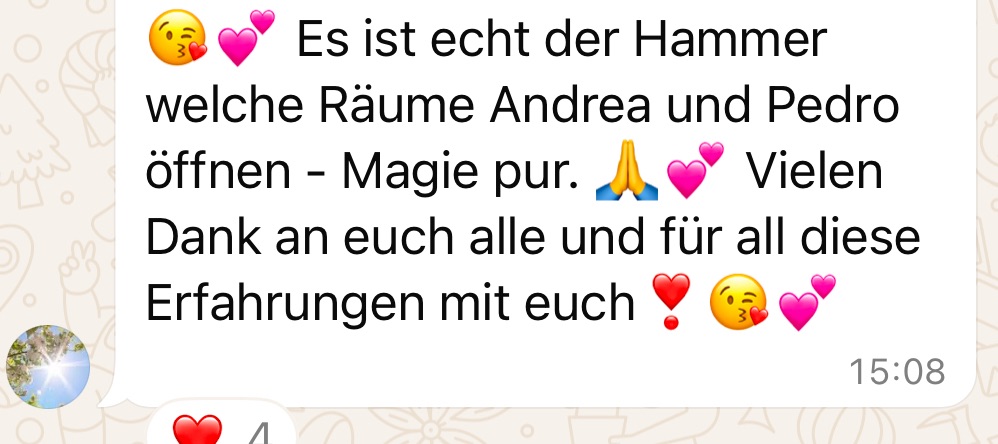 WhatsApp-Nachricht eines Teilnehmers mit Emojis über magische Räume-Öffnung durch Andrea und Pedro