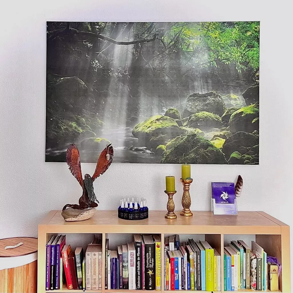 Bücherregal mit Fachliteratur, Waldbach-Kunstdruck, Dekoration