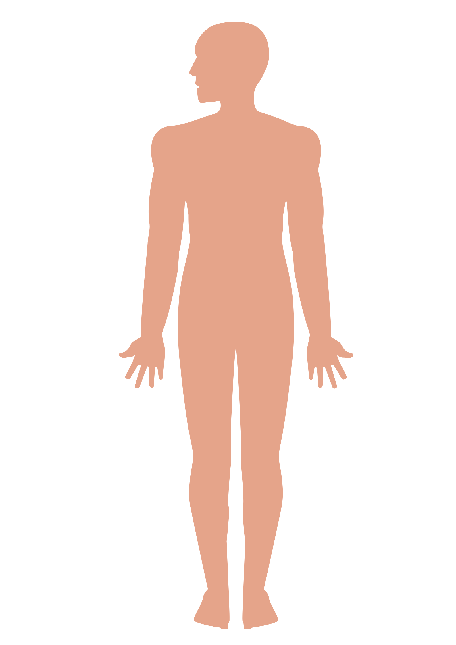 Anatomische Illustration eines menschlichen Körpers von vorne in Hautfarbe