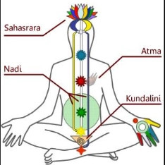 Chakren-Diagramm meditierender Figur mit Sahasrara, Nadi, Alma, Kundalini Labels