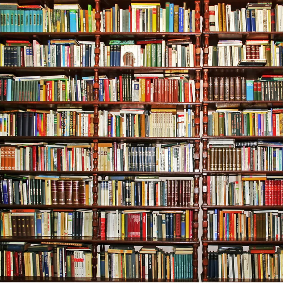 Bibliotheks-Regal mit hunderten bunten Büchern in Holzrahmen, vollständig gefüllt