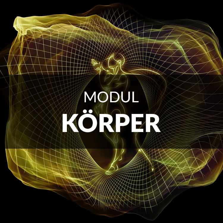 Modul Körper Kursinhalt Engerer Kreis Light
