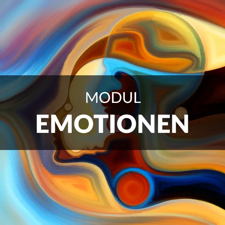 Modul Emotionen Kursinhalt Engerer Kreis Light